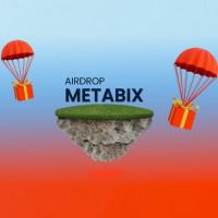 Metabix